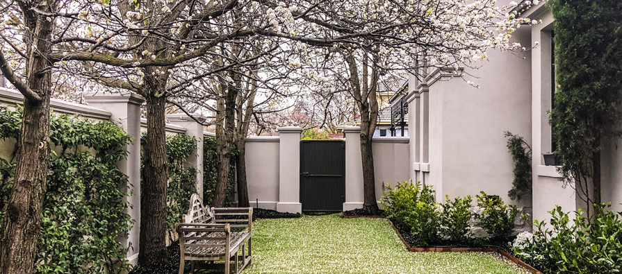 Small garden with flowering pear trees, faux green turf, surrounded by a brick fence and Victorian period house